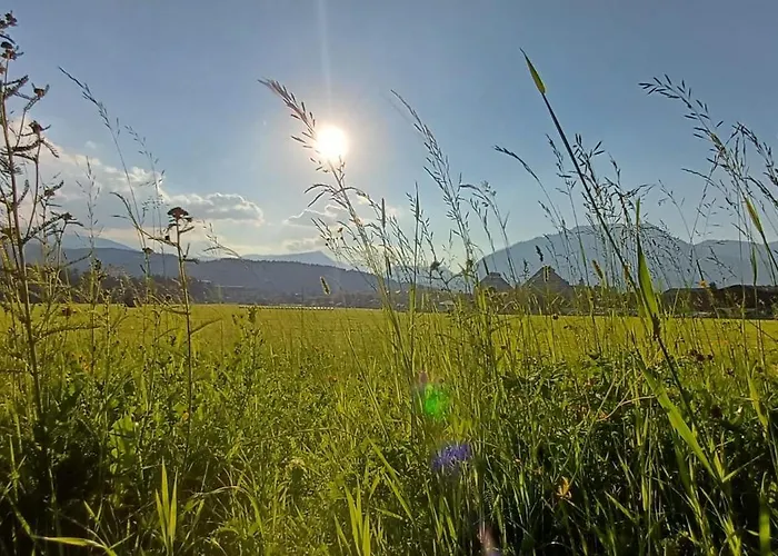Appartement Naturblick
